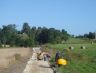 DSC02186.JPG